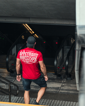 Longsleeve Swelling Logo