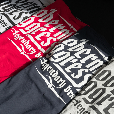 Koszulka Swelling Logo